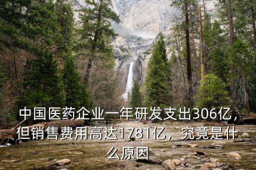 中國醫(yī)藥企業(yè)一年研發(fā)支出306億，但銷售費用高達1781億，究竟是什么原因