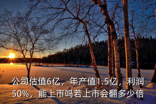 公司估值6億，年產值1.5億，利潤50%，能上市嗎若上市會翻多少倍