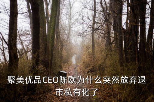 聚美優(yōu)品CEO陳歐為什么突然放棄退市私有化了