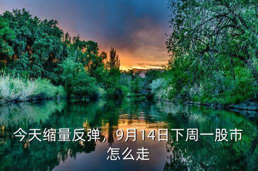 今天縮量反彈，9月14日下周一股市怎么走