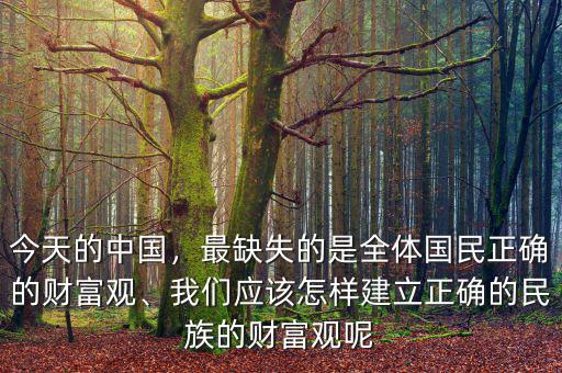 今天的中國，最缺失的是全體國民正確的財富觀、我們應(yīng)該怎樣建立正確的民族的財富觀呢