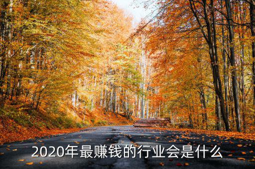 205年什么年最轉錢,2020年做什么最賺錢