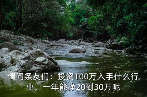 請問條友們：投資100萬入手什么行業(yè)，一年能掙20到30萬呢