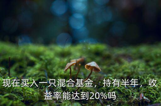 現(xiàn)在買入一只混合基金，持有半年，收益率能達(dá)到20%嗎