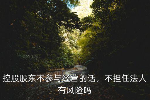 控股股東不參與經(jīng)營的話，不擔任法人有風險嗎