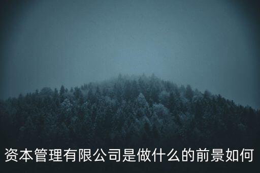 明嘉資本是什么公司,什么是資本結構和公司價值