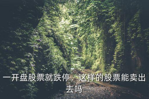 一開盤股票就跌停，這樣的股票能賣出去嗎