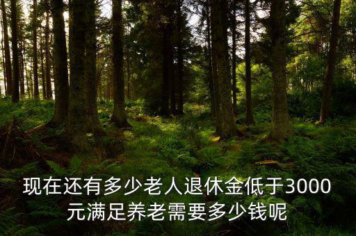 現(xiàn)在還有多少老人退休金低于3000元滿足養(yǎng)老需要多少錢呢