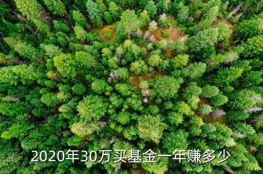 2020年30萬(wàn)買(mǎi)基金一年賺多少