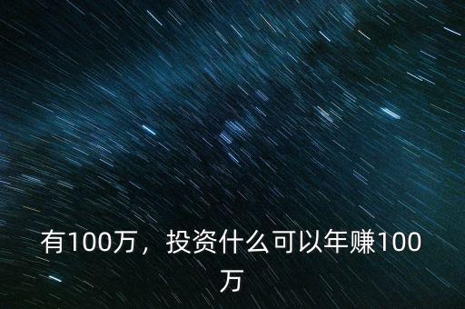 有100萬，投資什么可以年賺100萬