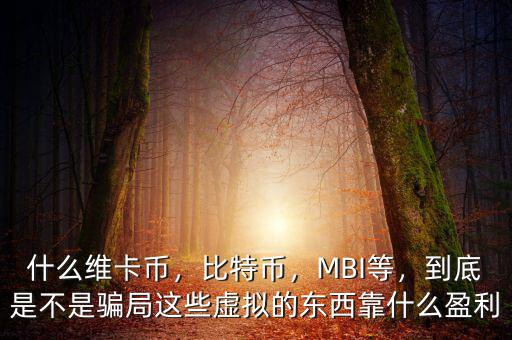 什么維卡幣，比特幣，MBI等，到底是不是騙局這些虛擬的東西靠什么盈利