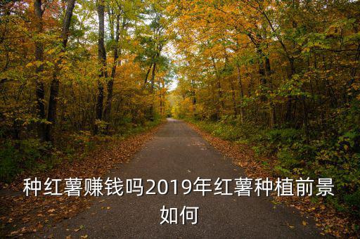 種紅薯賺錢(qián)嗎2019年紅薯種植前景如何