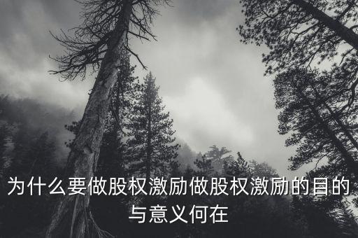 為什么要做股權(quán)激勵(lì)做股權(quán)激勵(lì)的目的與意義何在