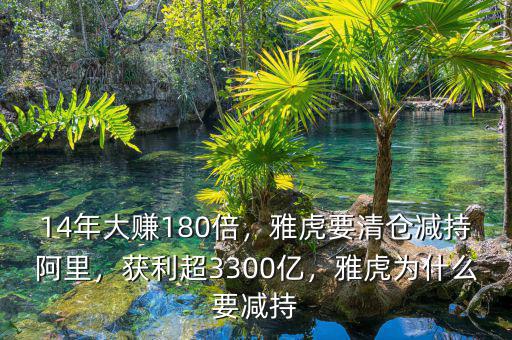 14年大賺180倍，雅虎要清倉(cāng)減持阿里，獲利超3300億，雅虎為什么要減持