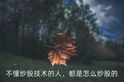 不懂炒股技術(shù)的人，都是怎么炒股的