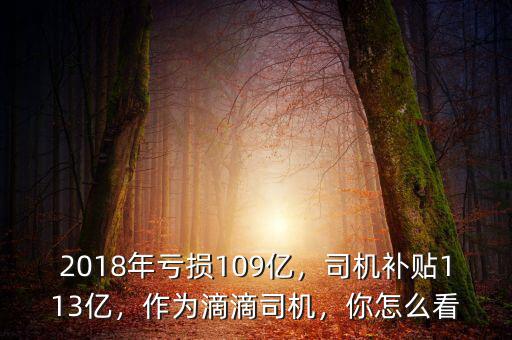 2018年虧損109億，司機(jī)補(bǔ)貼113億，作為滴滴司機(jī)，你怎么看