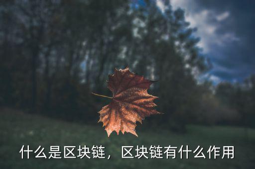 什么是區(qū)塊鏈，區(qū)塊鏈有什么作用