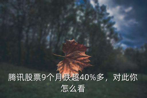 騰訊股票9個(gè)月跌超40%多，對(duì)此你怎么看