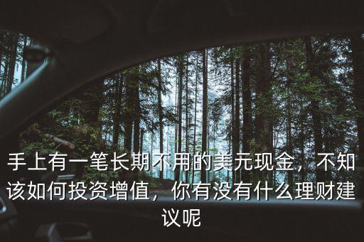 手上有一筆長期不用的美元現(xiàn)金，不知該如何投資增值，你有沒有什么理財建議呢