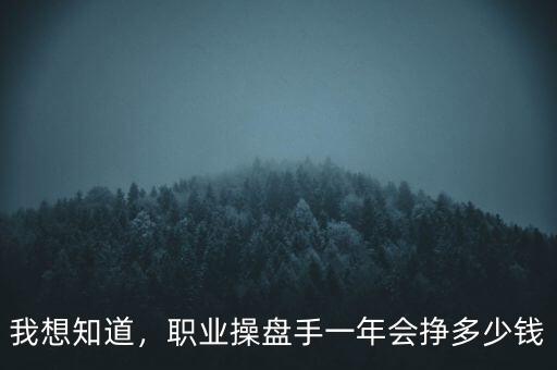 我想知道，職業(yè)操盤手一年會(huì)掙多少錢