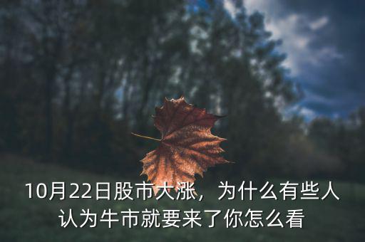 10月22日股市大漲，為什么有些人認為牛市就要來了你怎么看