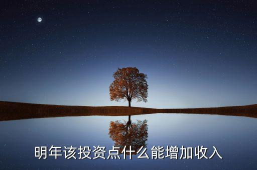 明年該投資點什么能增加收入