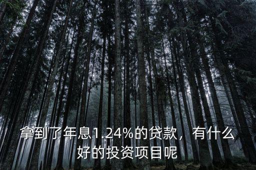 拿到了年息1.24%的貸款，有什么好的投資項目呢