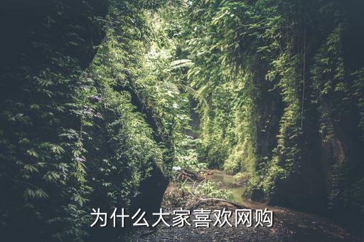 為什么大家喜歡網(wǎng)購(gòu)