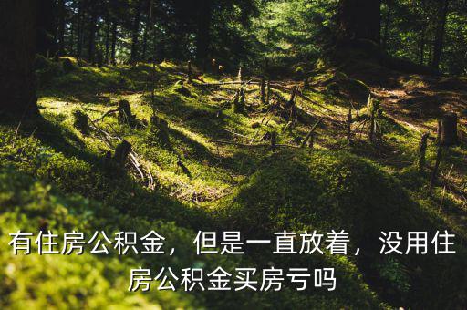 有住房公積金，但是一直放著，沒用住房公積金買房虧嗎