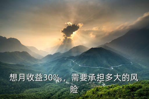 想月收益30%,，需要承擔多大的風險