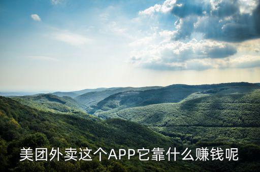 美團外賣這個APP它靠什么賺錢呢