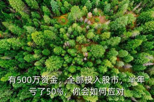 有500萬資金，全部投入股市，半年虧了50%，你會如何應(yīng)對