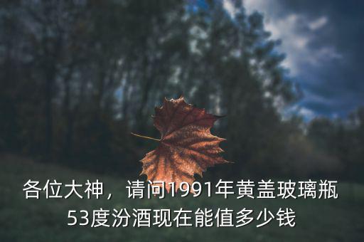 各位大神，請問1991年黃蓋玻璃瓶53度汾酒現(xiàn)在能值多少錢