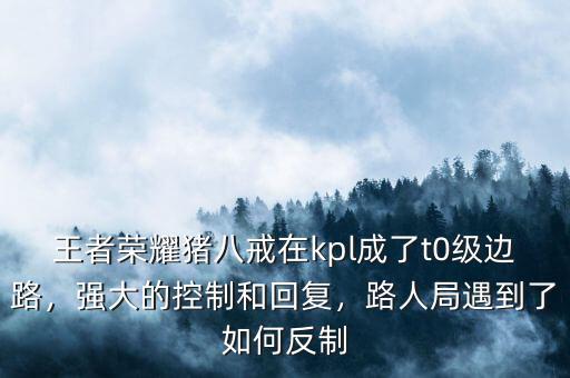 王者榮耀豬八戒在kpl成了t0級邊路，強大的控制和回復，路人局遇到了如何反制