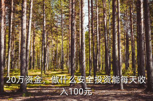 20萬(wàn)資金，做什么安全投資能每天收入100元