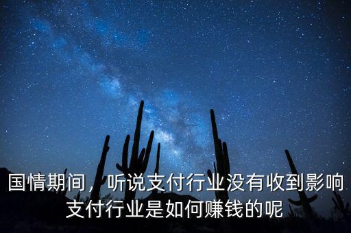 國(guó)情期間，聽(tīng)說(shuō)支付行業(yè)沒(méi)有收到影響支付行業(yè)是如何賺錢的呢