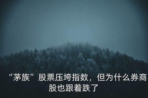 “茅族”股票壓垮指數(shù)，但為什么券商股也跟著跌了