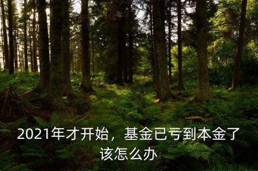 2021年才開始，基金已虧到本金了該怎么辦