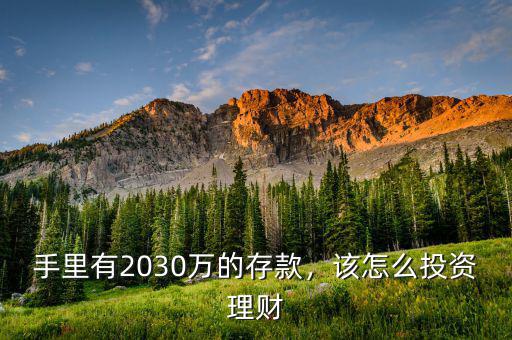 手里有2030萬的存款，該怎么投資理財