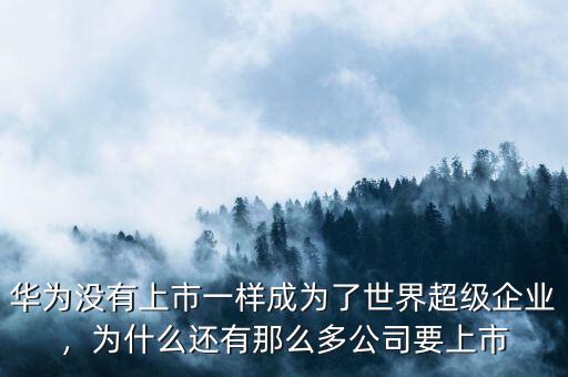 華為沒有上市一樣成為了世界超級企業(yè)，為什么還有那么多公司要上市