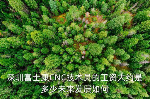 深圳富士康CNC技術(shù)員的工資大約是多少未來發(fā)展如何