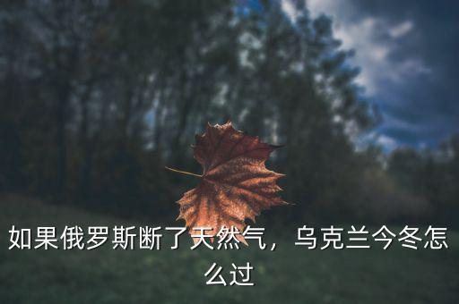 如果俄羅斯斷了天然氣，烏克蘭今冬怎么過(guò)