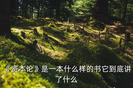 《資本論》是一本什么樣的書(shū)它到底講了什么