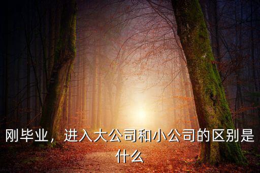 加爾布雷斯認為什么是公司,企業(yè)發(fā)展之本是什么