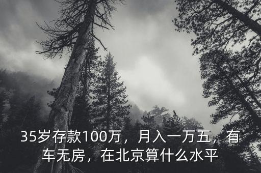 35歲存款100萬，月入一萬五，有車無房，在北京算什么水平