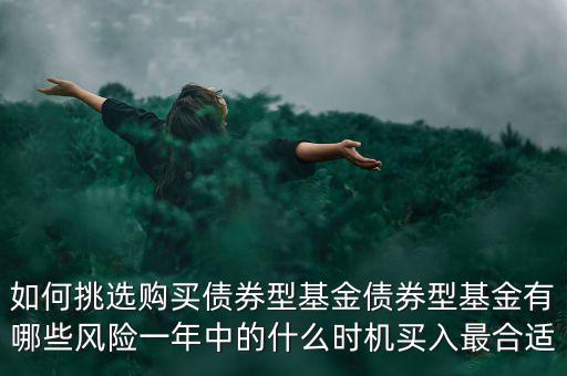 如何挑選購買債券型基金債券型基金有哪些風(fēng)險(xiǎn)一年中的什么時(shí)機(jī)買入最合適