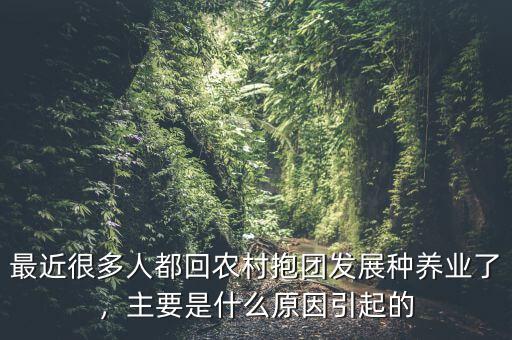 最近很多人都回農(nóng)村抱團發(fā)展種養(yǎng)業(yè)了，主要是什么原因引起的