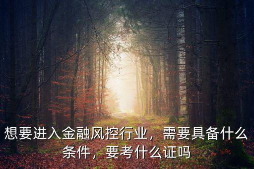 想要進(jìn)入金融風(fēng)控行業(yè)，需要具備什么條件，要考什么證嗎