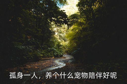 孤身一人，養(yǎng)個(gè)什么寵物陪伴好呢