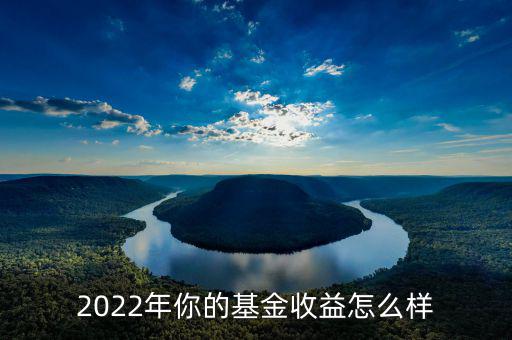 2022年你的基金收益怎么樣